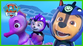 Aqua Pups Save the Whale Patroller  PAW Patrol Episode  Cartoons for Kids [upl. by Azyl446]