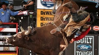 Bushwacker wins 2014 World Champion Bull title 2014 [upl. by Trout]