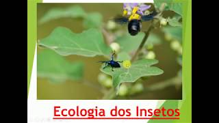 Ecologia dos insetos Parte 1 [upl. by Longo]