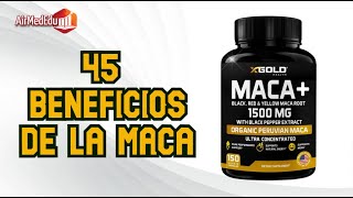 45 Beneficios de la Maca [upl. by Girard]