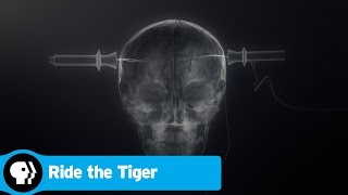 RIDE THE TIGER  The Benefits of Electroconvulsive Therapy  PBS [upl. by Rouvin]