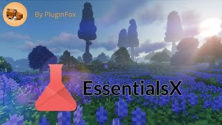 EssentialsX 119 [upl. by Nosyk722]