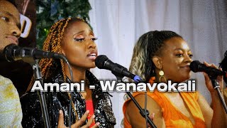 Wanavokali  Amani Live Acoustic Performance Dir by Drey Mathu [upl. by Kusin]