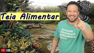 Teia Alimentar  Ecologia  Biologia com o Tubarão [upl. by Ihtak]