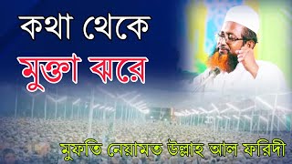 মুফতি নেয়ামতুল্লাহ আল ফরিদী এর ওয়াজniyamatullah Al faridi new wazwazmahfil2024 [upl. by Bashemath546]