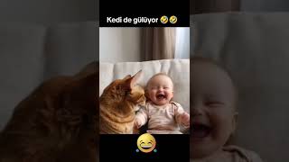 Kedi de gülüyor 🤣🤣Gülme Terapisi🤣Kanalıma Abone olmayı unutmayın😸😻eğlencelivideolar kedi komik [upl. by Laehcar]