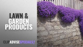 10 Best Selling Wbut2023 Lawn amp Garden Products 2018  250 Aubrieta Seeds  Cascade Purple Flower [upl. by Chassin]