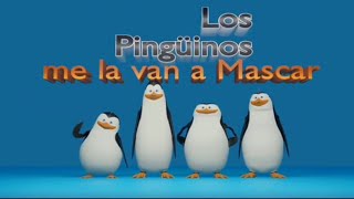 Los Pinguinos me la van a Mascar [upl. by Nosremaj]