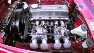 quotHasegawa Specialquot R16 Engine  Port and Polished  Datsun Fairlady Roadster [upl. by Aknayirp631]