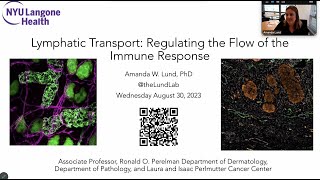 quotLymphatic Transport Regulating the Flow of the Immune Responsequot by Dr Amanda Lund [upl. by Saref]