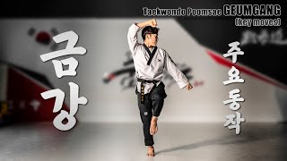 태권도 품새  금강 quot주요동작quot  Taekwondo Tutorial  Poomsae GEUMGANG quotkey movesquot [upl. by Fogarty]