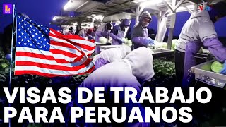 Perú accederá a visas de trabajo en Estados Unidos ¿Qué requisitos debo cumplir [upl. by Novla]