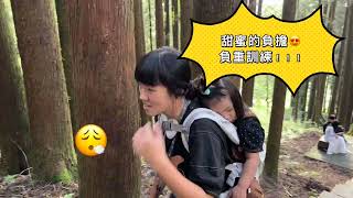 汎洋旅遊 2024101920 台灣富士軟片資訊 阿里山日出優遊吧斯假期 [upl. by Smiga]