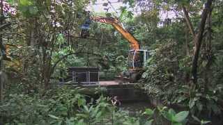 Verhuizing zeekoe naar Parijs  Burgers Zoo Natuurlijk  Arnhem [upl. by Yroc805]