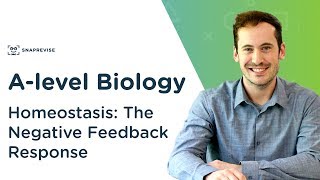 Homeostasis The Negative Feedback Response  Alevel Biology  OCR AQA Edexcel [upl. by Ayocat]