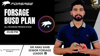 Forsage Busd Complete Plan By Sir Anas Sahb Online Work in Pakistan [upl. by Ainirtak]