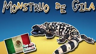 Monstruo de gila El lagarto colorido y venenoso Animales del Mundo Mes de México [upl. by Bucher]