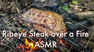 RIBEYE STEAK over a Campfire ASMR with the Bed Roll Cook Set Dave Canterbury [upl. by Neelac]