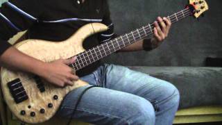 Elrick Gold Series Bass [upl. by Lothar]