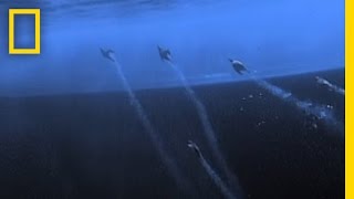 Underwater Rockets  National Geographic [upl. by Clayberg]