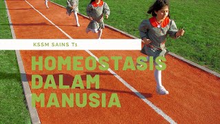 SAINS TINGKATAN 1 BAB 3 31 HOMEOSTASIS DALAM MANUSIA [upl. by Bunce]