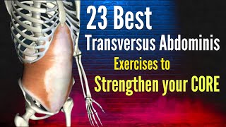 Preventing and eliminating low back pain Strengthening the Transversus Abdominis  23 TvA exercises [upl. by Yartnoed885]