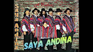 Moliendo Café  Saya Andina Latinoamerica Music Cumbia [upl. by Meehan]