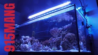 150G REEF SALTWATER AQUARIUM CORAL REEF TANK UPDATE  FISH TANK PLUMBING AND BULKHEADS [upl. by Ahsikel]