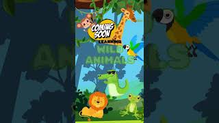 Learning Wild Animals for Kids 🦁🦒🐒🦜  Fun amp Educational 2D Animation [upl. by Nhguav]