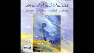 StringWood Quartet  Oboe Quartet in D Major Op 25 I Andante [upl. by Wallis]