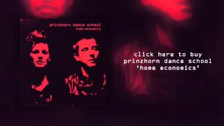 Prinzhorn Dance School quotHagglequot Official Audio [upl. by Jedd540]