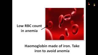 Science What is blood blood vessels and blood circulation  English [upl. by Kahcztiy]