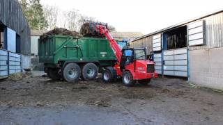 Schaffer 3550T SLT Loader Clearing Cattle Sheds [upl. by Purpura]