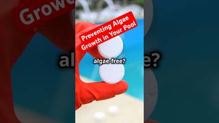 Preventing Algae Growth in Your Pool  Comprehensive Guide to Algae Types Prevention and Treatment [upl. by Kei]