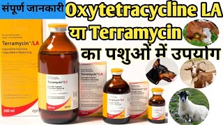 Oxytetracycline Injection Veterinary use Hindi ऑक्सीटेटरासाइक्लिनइंजेक्शन का कौन से पशु में उपयोग [upl. by Marybelle]