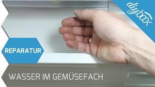 Kühlschrank  Wasser unter dem Gemüsefach [upl. by Buford]