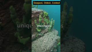 Lake Baikal The Worlds Deepest and Oldest Lake facts [upl. by Imhsar263]