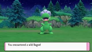 Shiny Bagon Pokémon Shining Pearl Pokeradar Chain 17 [upl. by Huxley]