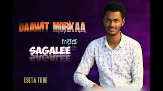 Sagalee  Dawit Morka [upl. by Lisandra45]