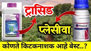 Plesiva insecticide syngenta  Adama trassid insecticide आदामा ट्रासिड किटकनाशक  प्लेसीवा किटकनाशक [upl. by Notsniw]