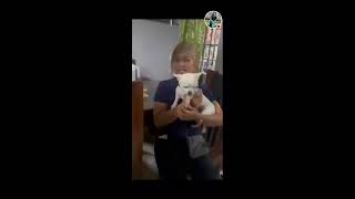 OMVMILO OFFICIAL is live happy LIVE with my chihuahua COCO [upl. by Acina230]