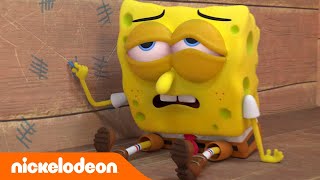 Koralowy obóz  Ucieczka SpongeBoba  Nickelodeon Polska [upl. by Lewellen38]