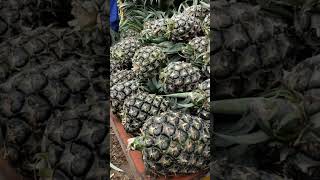 Ananas Fruit [upl. by Bunny]