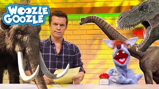 Welche Tiere sind ausgestorben  WOOZLE GOOZLE [upl. by Bale]