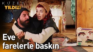 Eve Farelerle Baskın🐀🐀  Kuzey Yıldızı İlk Aşk [upl. by Danny642]