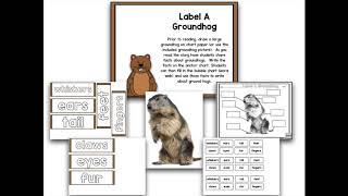 Read It Up Groundhog Gets A Say [upl. by Arley363]