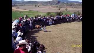 FIESTAS GUADALUPANAS 2013 [upl. by Enirolf]