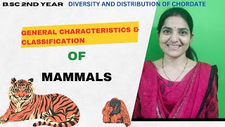 General Characteristics And Classifications of class Mammalia BSc 2nd Yearmammalia [upl. by Aihsyt860]