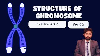 Condensins and cohesins  Structure of Chromosome  Part5 [upl. by Notac]