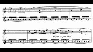 Poulenc  Sonata for Two Clarinets [upl. by Golanka]